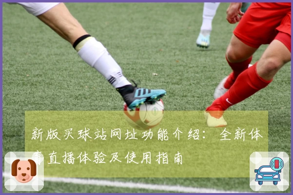 新版买球站网址功能介绍：全新体育直播体验及使用指南