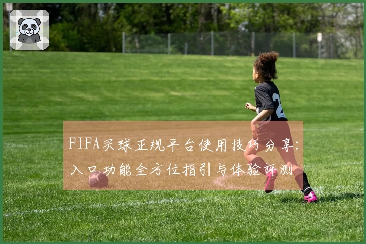 FIFA买球正规平台使用技巧分享：入口功能全方位指引与体验评测
