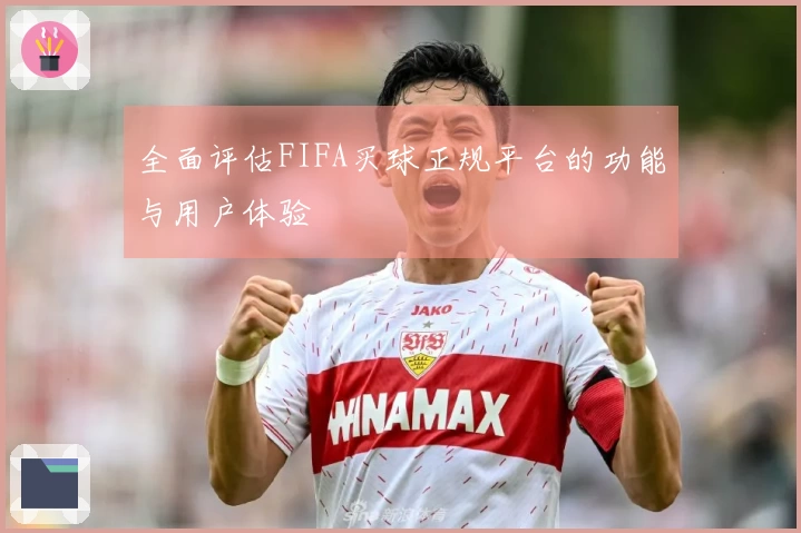 全面评估FIFA买球正规平台的功能与用户体验