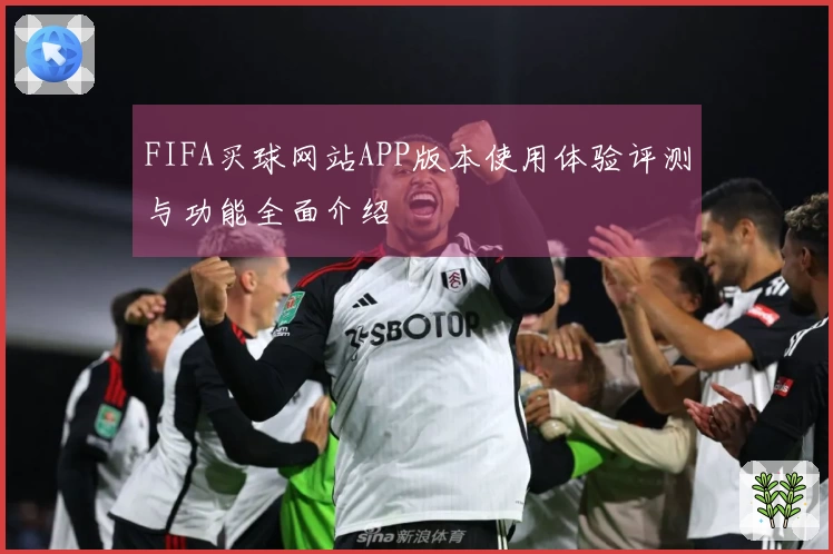 FIFA买球网站APP版本使用体验评测与功能全面介绍