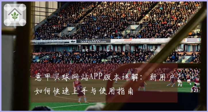意甲买球网站APP版本详解：新用户如何快速上手与使用指南